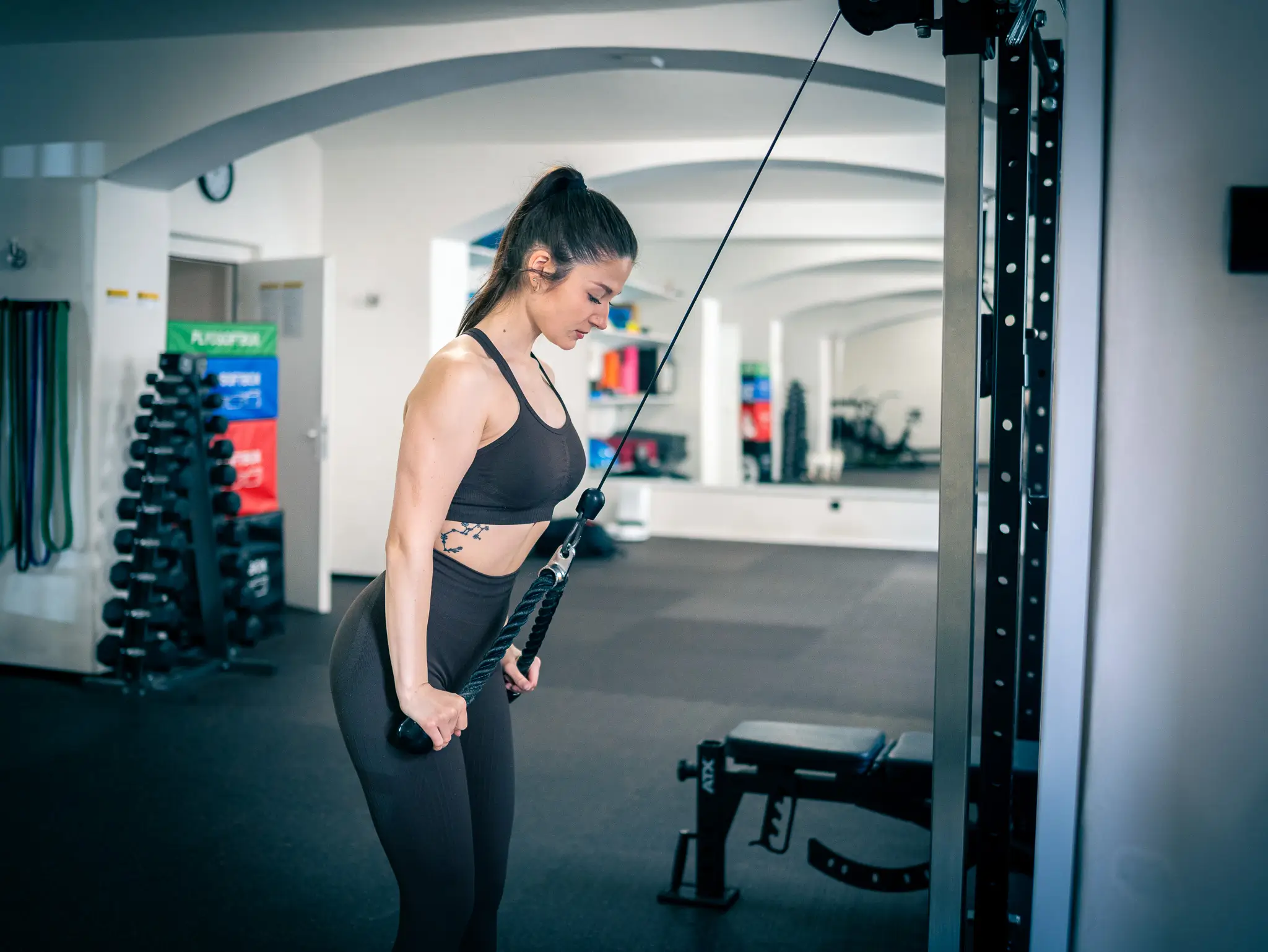 GymRoom Franchise